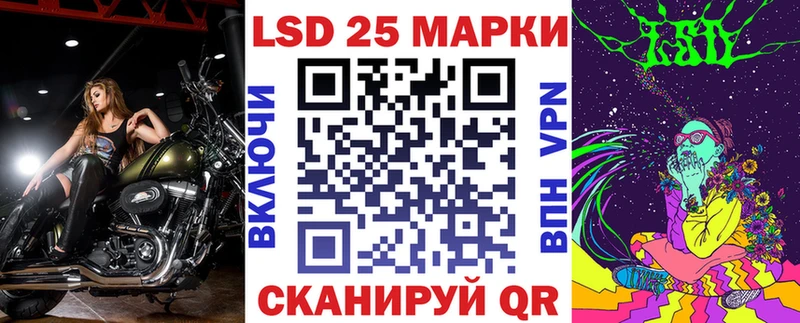 где можно купить наркотик  Кедровый  Наркотические марки 1,8мг 