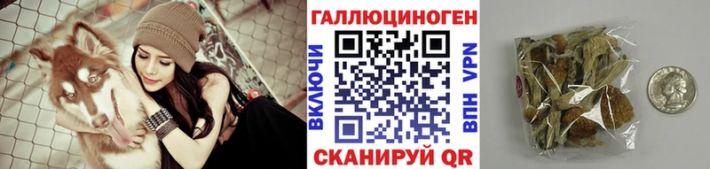 KRAKEN вход наркота Кедровый Галлюциногенные грибы Psilocybe